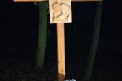 Rozwijamy-Pasje-kwiaty-ARiMR-14