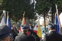 DSCN8939