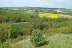 Święto Storczyka - Kalina Mała 2017