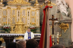 Święto Wojska Polskiego - Miechów 2017 - fot. W. Pengiel
