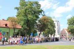 Święto Wojska Polskiego - Miechów 2017 - fot. W. Pengiel