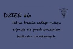 zadania-na-tydzien-mozgu-14