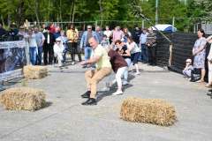 2023-Wybory-Chlopa-Roku-2023-055