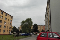 Osiedle XXX-lecia PRL zmienia nazwę na Osiedle Parkowe