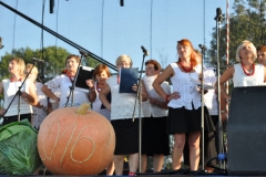 Zagorzanki na Dożynkach Powiatowych i Gołeckim Żniwograniu - miechowski.pl