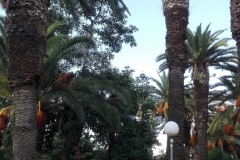 IMG_20161002_114625