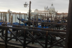 IMG_20161005_142907