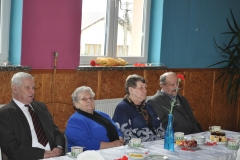 Złote Gody Kozłów 2017 - miechowski.pl - fot. K. Capiga