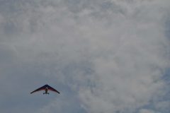 DSC_0370