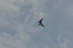 DSC_0373