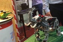 IMG_5766-1
