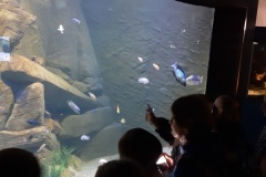 ZSP-Ksiaz-Wielki-wycieczka-Oceanika-02