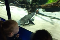 ZSP-Ksiaz-Wielki-wycieczka-Oceanika-05