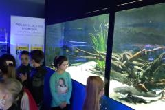 ZSP-Ksiaz-Wielki-wycieczka-Oceanika-06