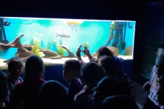 ZSP-Ksiaz-Wielki-wycieczka-Oceanika-07