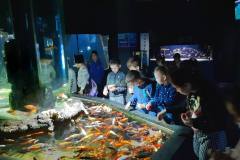 ZSP-Ksiaz-Wielki-wycieczka-Oceanika-08