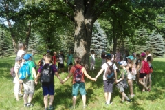 IMG_20180604_161641