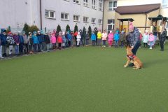 IMG_20190312_093220