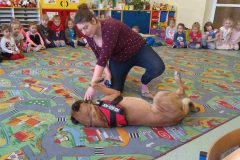 IMG_20190312_103343