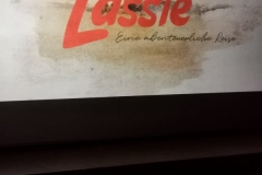 ZSP-KW-wycieczka-do-kina-w-Jedrzejowie-04