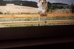 ZSP-KW-wycieczka-do-kina-w-Jedrzejowie-07