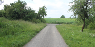 Fundusz Sołecki i jego realizacja