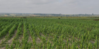 Preferencyjne kredyty lub pomoc finansowa za szkody po nawałnicach