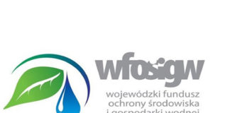 Umarzalna pożyczka na termomodernizację