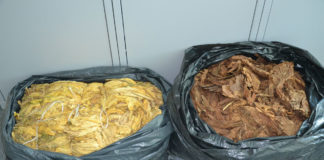 Policjanci przejęli susz tytoniowy