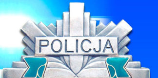 Policjanci zatrzymali i rozliczyli złodzieja samochodu