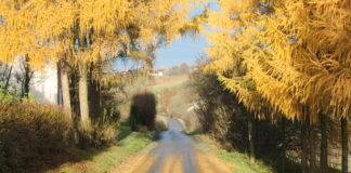 Wyremontowane drogi z udziałem środków wojewódzkich
