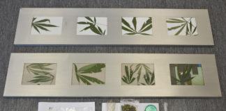 Zabezpieczyli narkotyki i zatrzymali sprawców