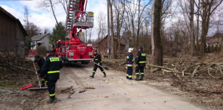 Wiosenne porządki strażaków