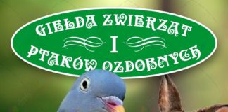 Giełda zwierząt i ptaków ozdobnych wznawia działalność