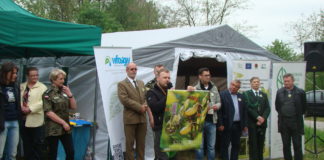 Święto Storczyka w Kalinie Małej