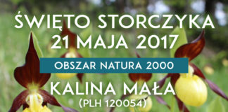 Już za tydzień – Święto Storczyka