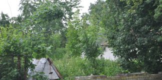 2 tys. zł miesięcznie za dzierżawę działki od parafii Działka parafii (za studnią) wydzierżawiona przez gminę za 2 tys. zł miesięcznie