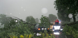Burze znów dają się we znaki Powalone drzewo na samochód osobowy pod Miechowem