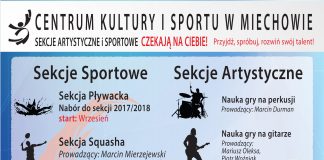 Sekcje sportowe i artystyczne CKIS