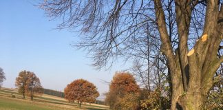 Remont drogi do pól w Kalinie Lisiniec