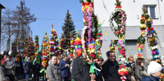 Niedziela Palmowa w Gołczy