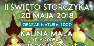 II Święto Storczyka – niedziela 20 maja 2018