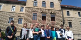 Przyjaciele lasu – konkurs w Szkole Podstawowej w Antolce