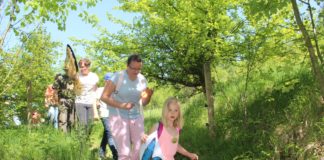 Święto Storczyka 2018