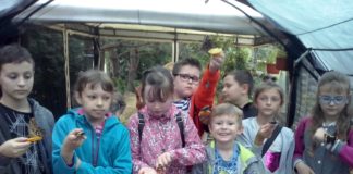 Wycieczka do Motylarni w Czaplach Wielkich