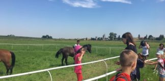 Wakacje pełne atrakcji z CKiS w Miechowie