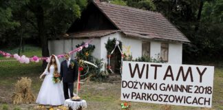 Dożynki Gminne w Parkoszowicach
