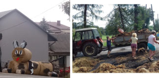 „Żniwograniowe” dekoracje rozkradzione i podpalone