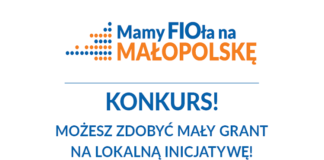 Konkurs dla grup nieformalnych i młodych organizacji pozarządowych