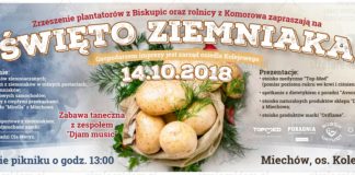 Święto Ziemniaka już w niedzielę 14 października w Miechowie!
